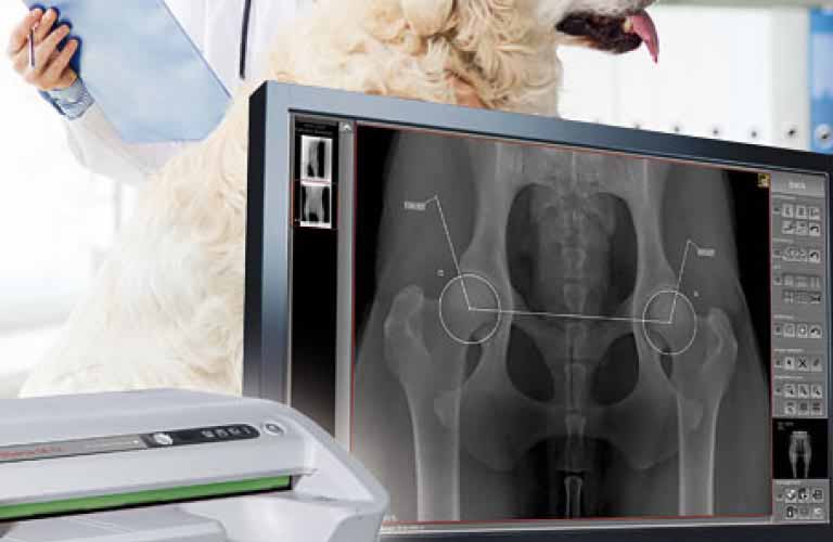 Akquisitionssoftware für Röntgenbilder von CR-Geräten (Speicherfolienlesegeräte) nahezu beliebiger Hersteller